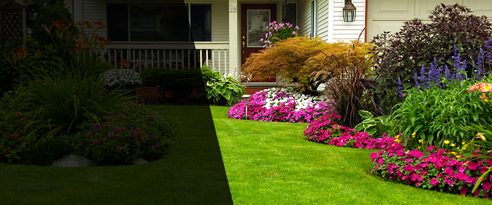 Yuma Landscapers