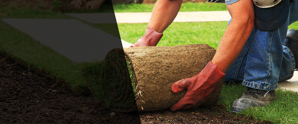 Yuma Landscapers